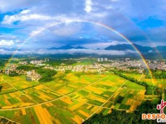 从抓生产到抓全产业链 广东乡村产业向多元高质发展转型