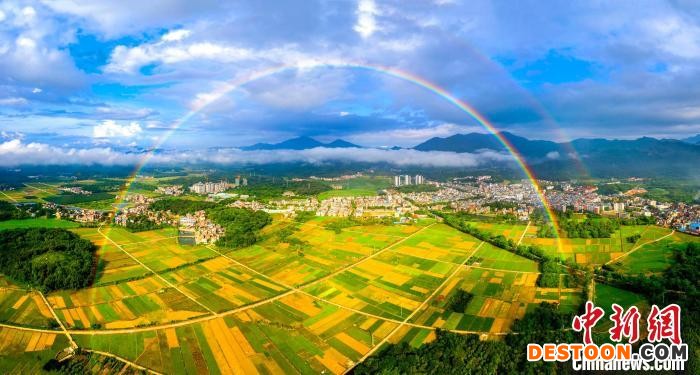 广州增城农户开展春耕 广州市增城区委宣传部 供图